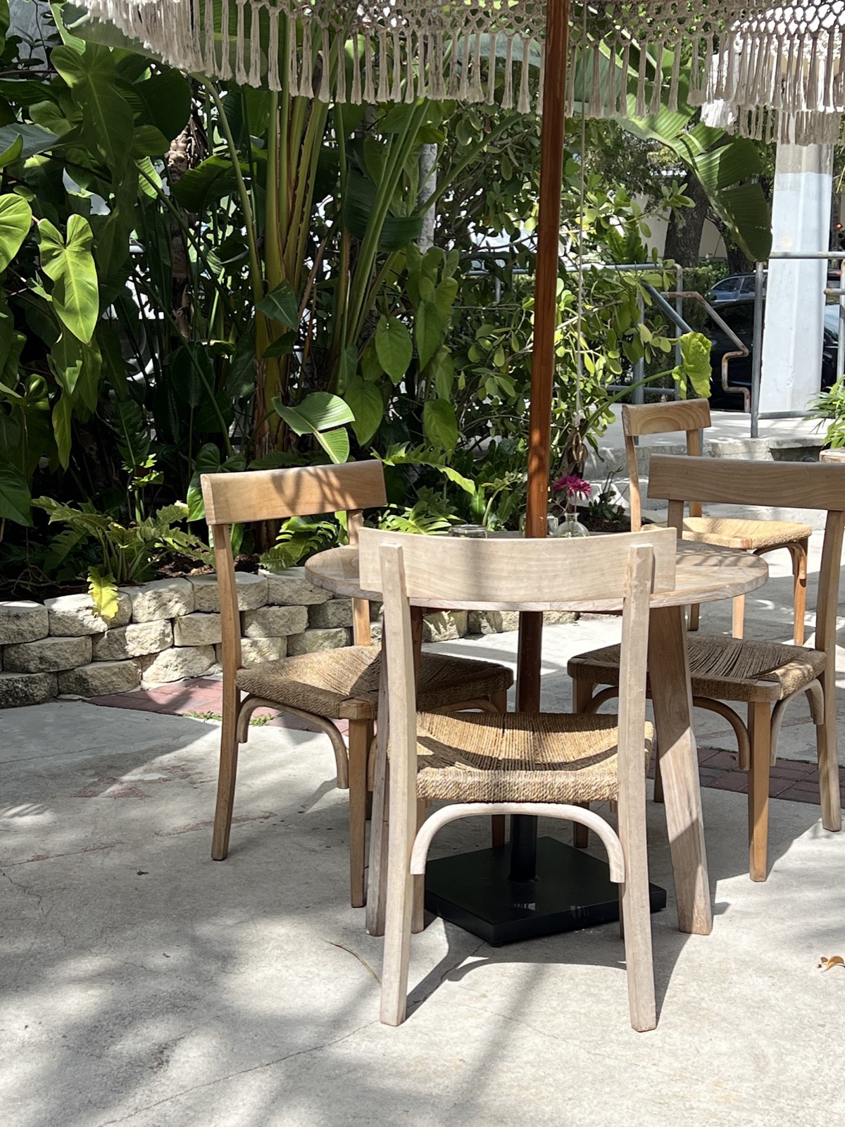 Avocado toast, a plant based healthy breakfast at Flora Plant Kitchen in MiMo Miami