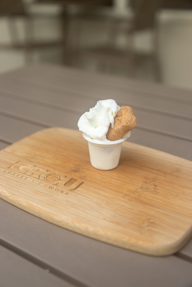 Puppuccino with whipped cream and a dog biscuit on a GROU board on the terrace